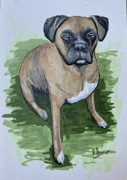 Mini Pet Portrait Sketch (4x6)
