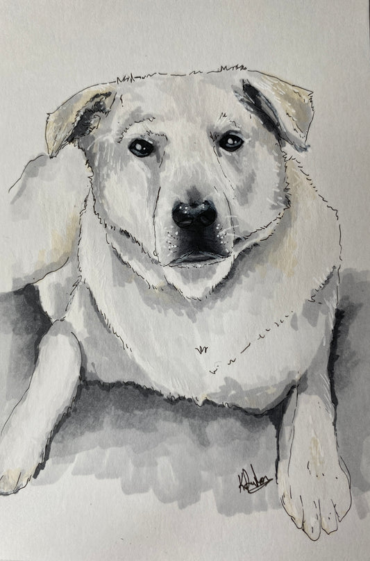 Mini Pet Portrait Sketch (4x6)